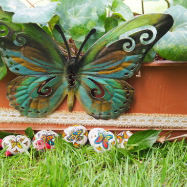 Tiempo de Mariposas