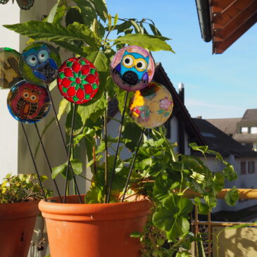 Tutores en vidrio para macetas y plantas